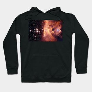 Pismis Nebula Hoodie